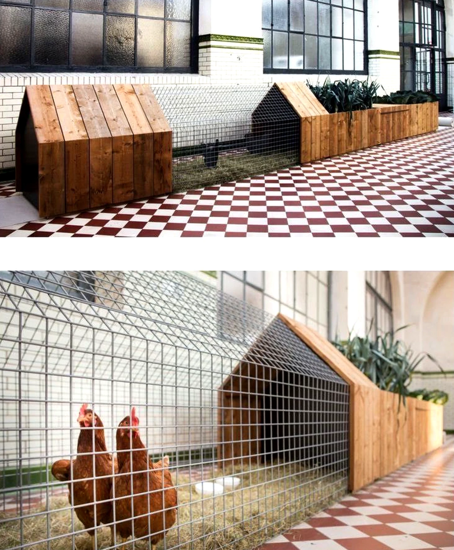 Simple wooden deck anchors the backdrop with balance, giving the view a mood that feels visually grounded.