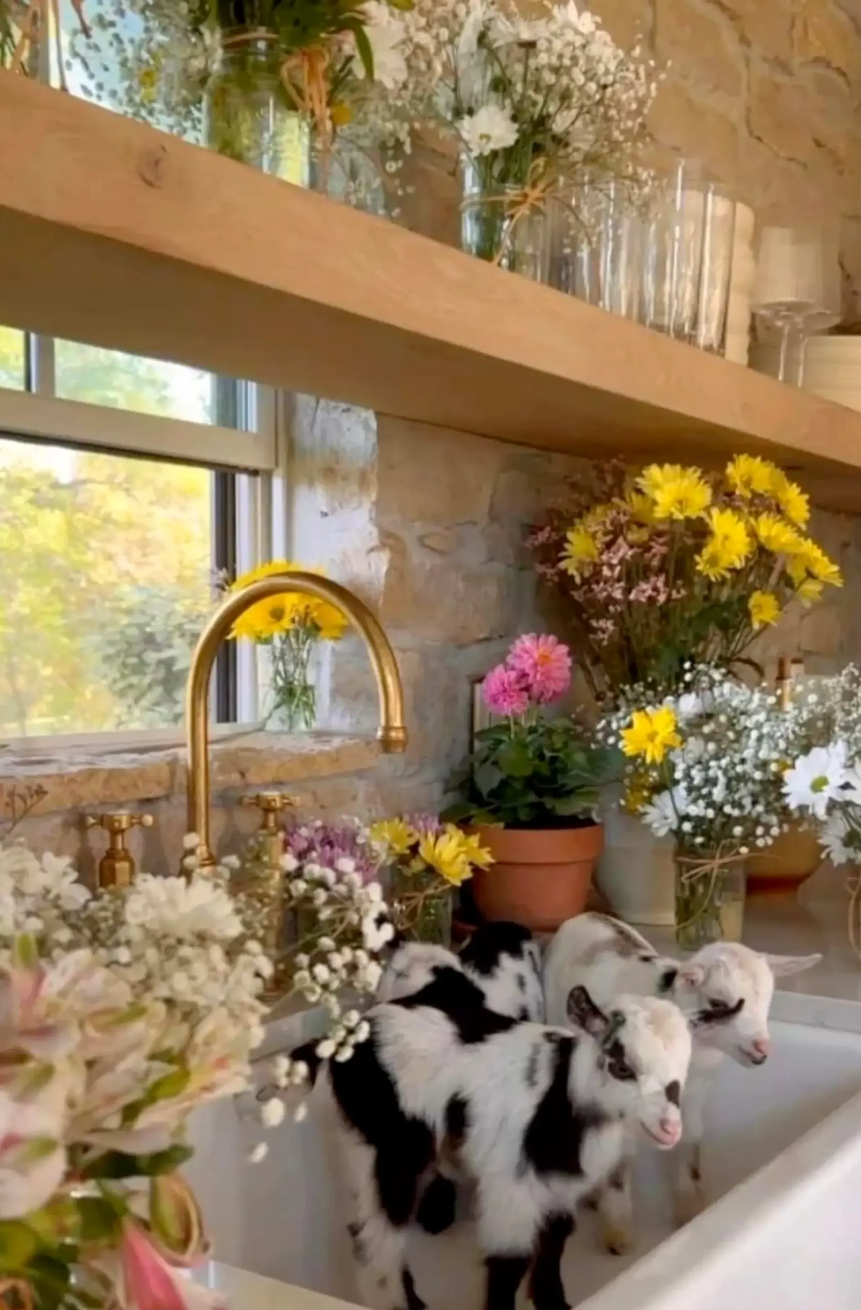 Graceful garden seating adds focus across the view, giving the decor a finish that feels simple yet expressive.